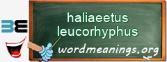 WordMeaning blackboard for haliaeetus leucorhyphus